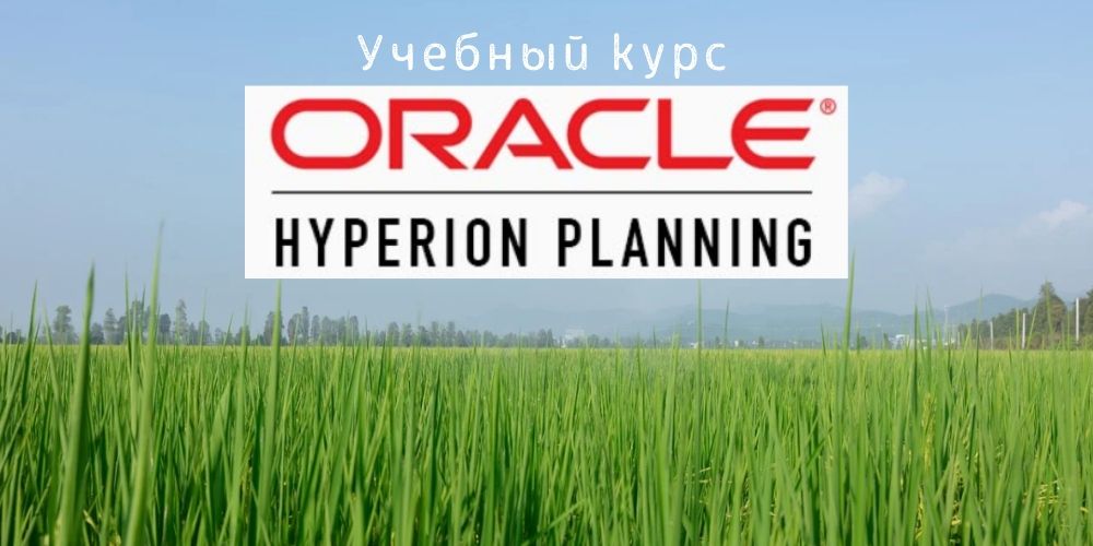 Учебный курс по Oracle Hyperion Planning
